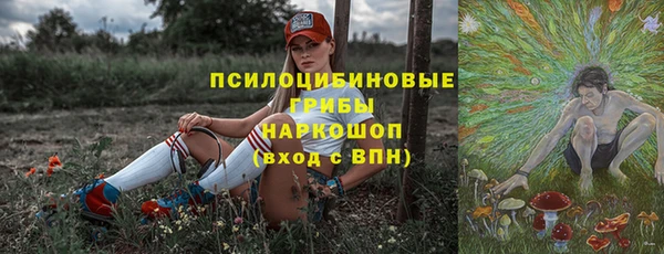 дмт Армянск