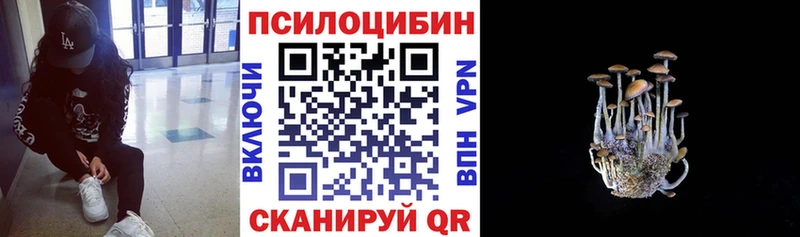 Галлюциногенные грибы Psilocybine cubensis  купить закладку  Дыгулыбгей 